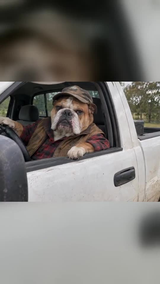 Hit the Road Dude: Be the Private Property Meme Driver Tutorial — RemixMeme Guide